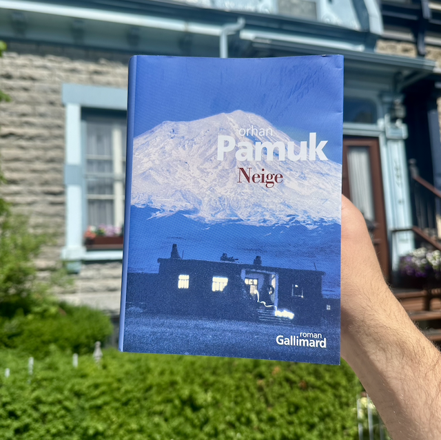 pamuk6
